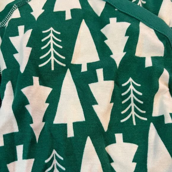 NWOT Hanna Andersson Baby Print Side Snap Bodysuit winter green size 0-3 months - Picture 3 of 5